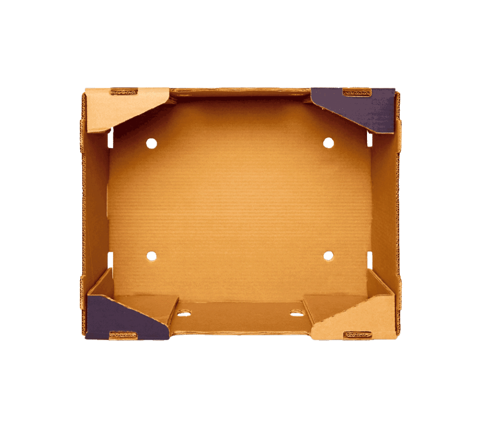 20kg-montada-com-foco-interior